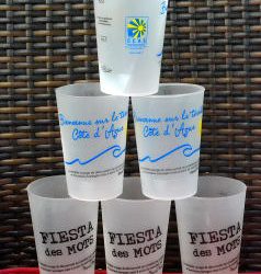 Fiesta des Mots (août 2014)