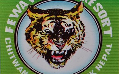 EN DIX ANS LA POPULATION DE TIGRES A PRESQUE DOUBLE AU NEPAL